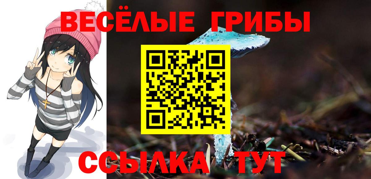 Сергиев Посад  Псилоцибиновые грибы ЛСД  Вход с VPN 